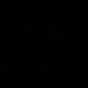 Meet your Posher, Maya